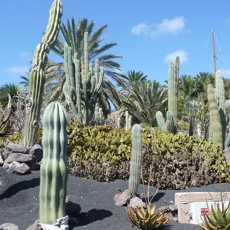 Casa Libertad, Panorama Jardin * Costa Calma